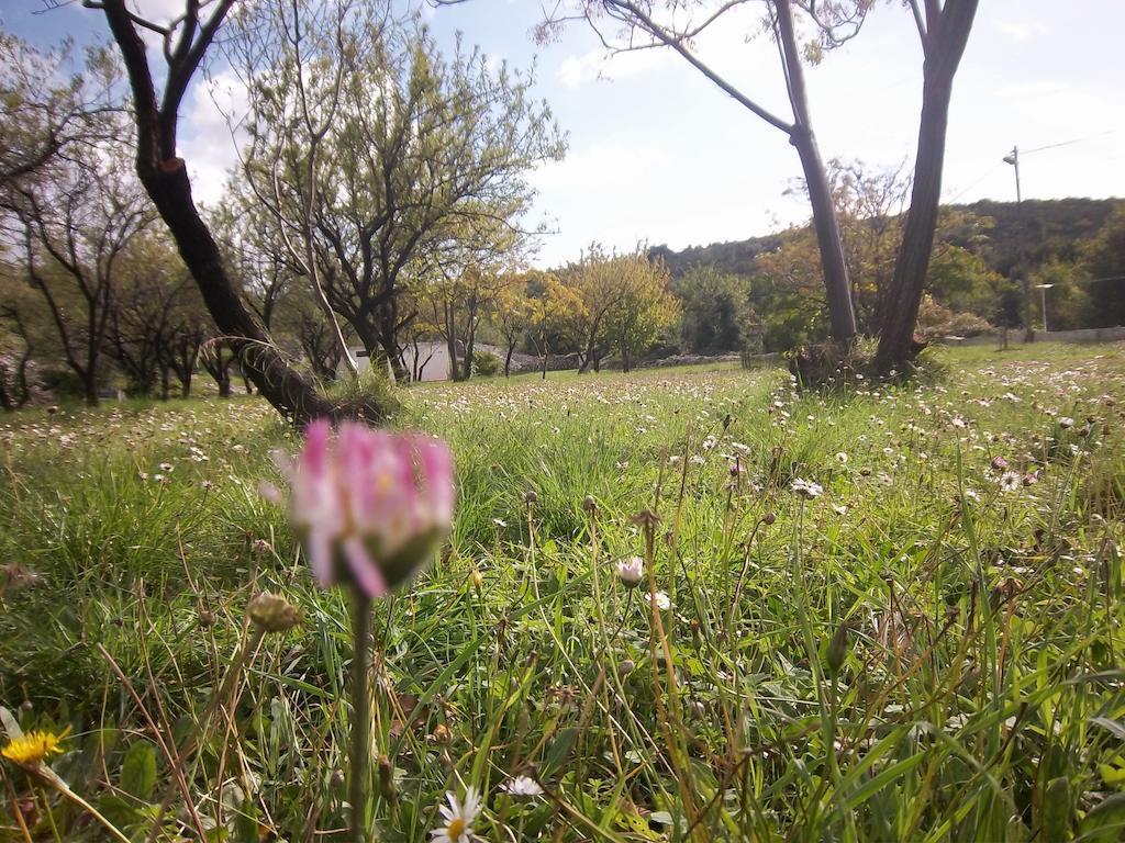 Guesthouse Budima Banići エクステリア 写真